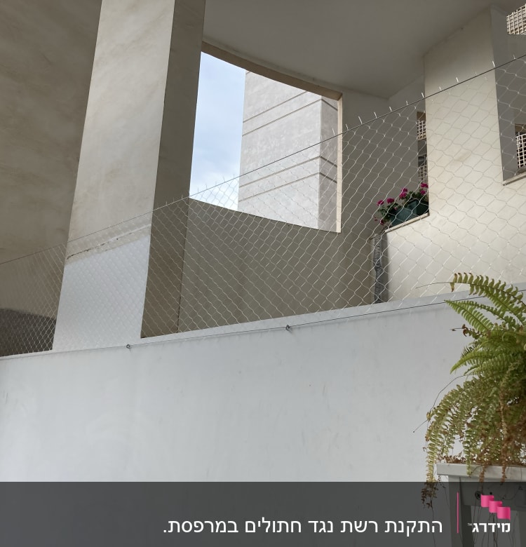 רשת מתכת מותקנת למניעת כניסת יונים